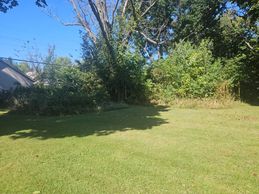 238 Pine Street, Benton Harbor, MI 49022 - #2