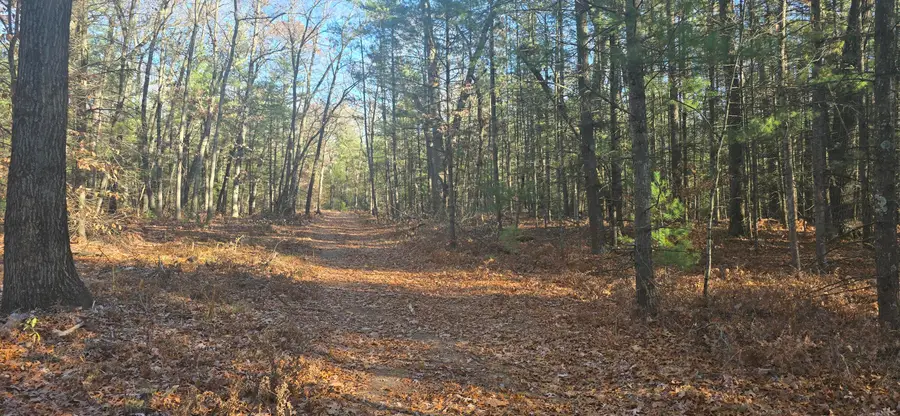 W Cedar Road, Twin Lake, MI 49457 - #3