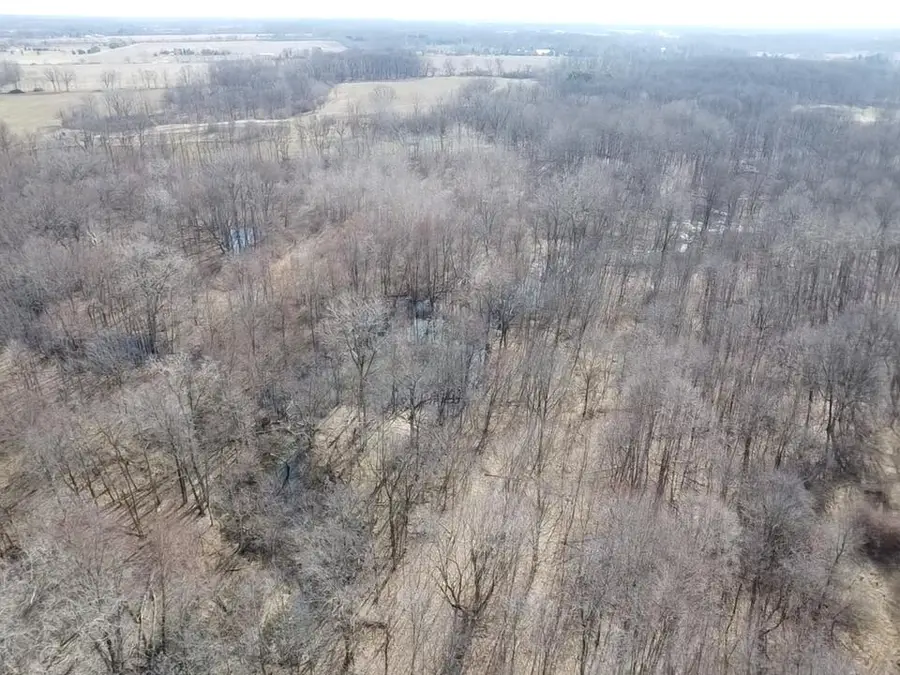 8453 S Durand Road, Durand, MI 48429 - #2