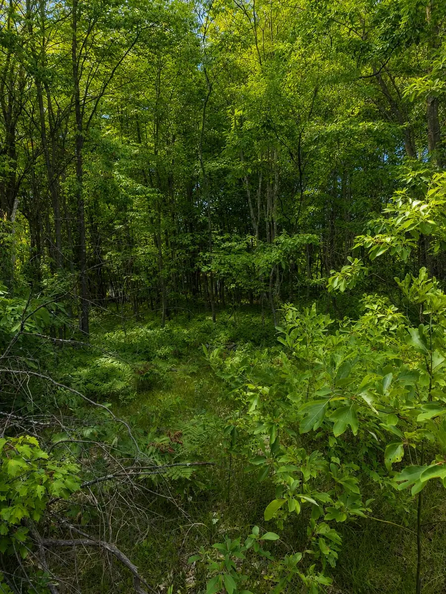 S Mill Iron Road, Muskegon, MI 49442 - #3
