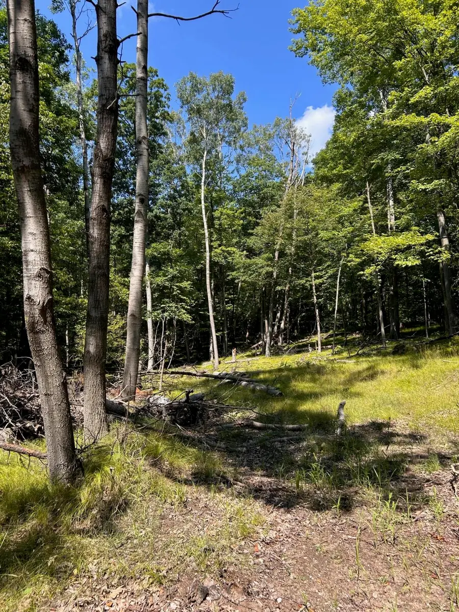 11992 Cheyenne Wells Trail, Canadian Lakes, MI 49346 - #2