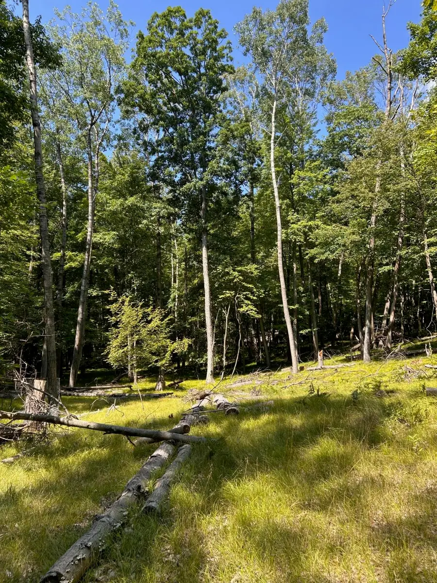 11992 Cheyenne Wells Trail, Canadian Lakes, MI 49346 - #3