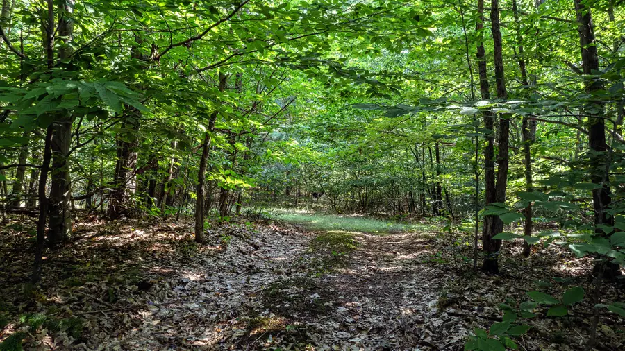 1245 W River Ridge Road, Pentwater, MI 49449 - #3