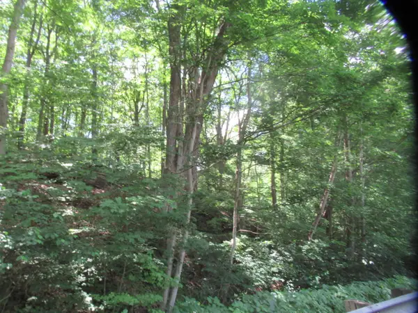 Red Bud Trail N, Buchanan, MI 49107