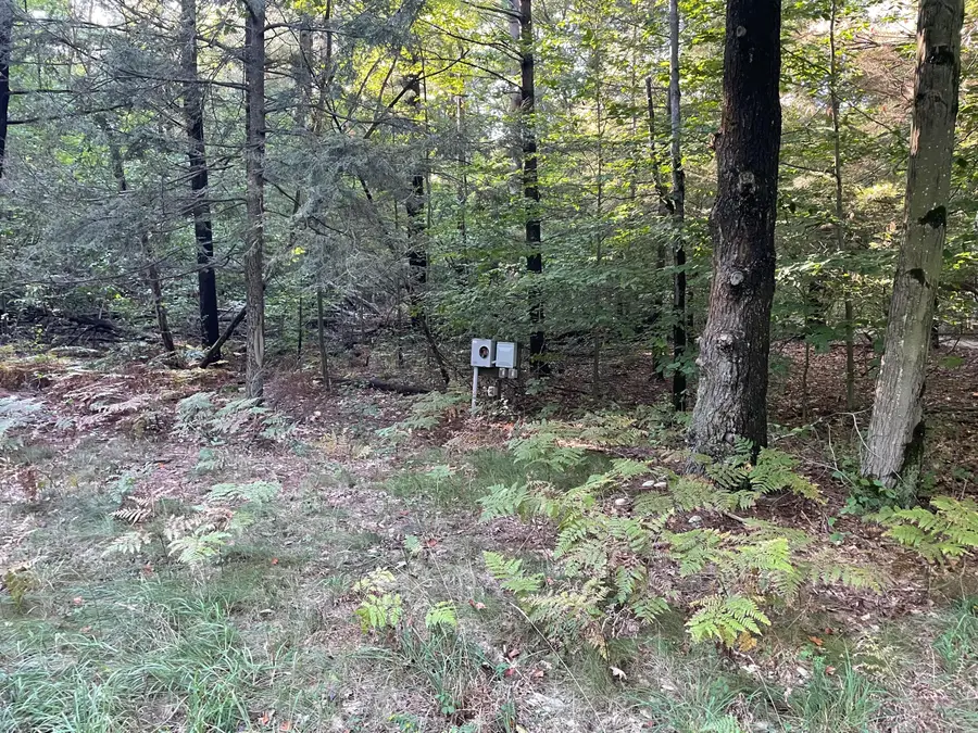 10445 W Woodrow Road, Shelby, MI 49455 - #2