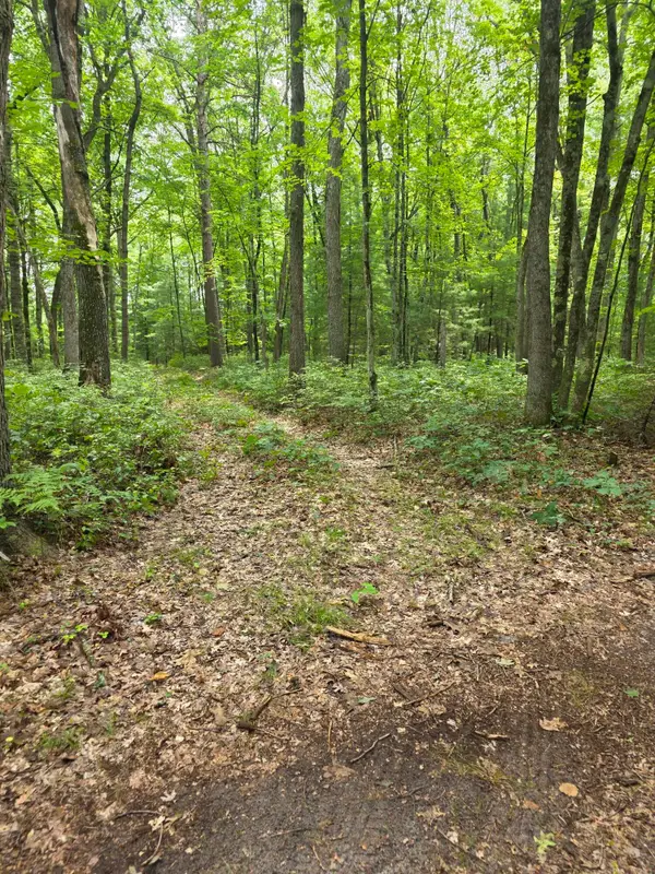 01V/L N Hunters Way, White Cloud, MI 49349