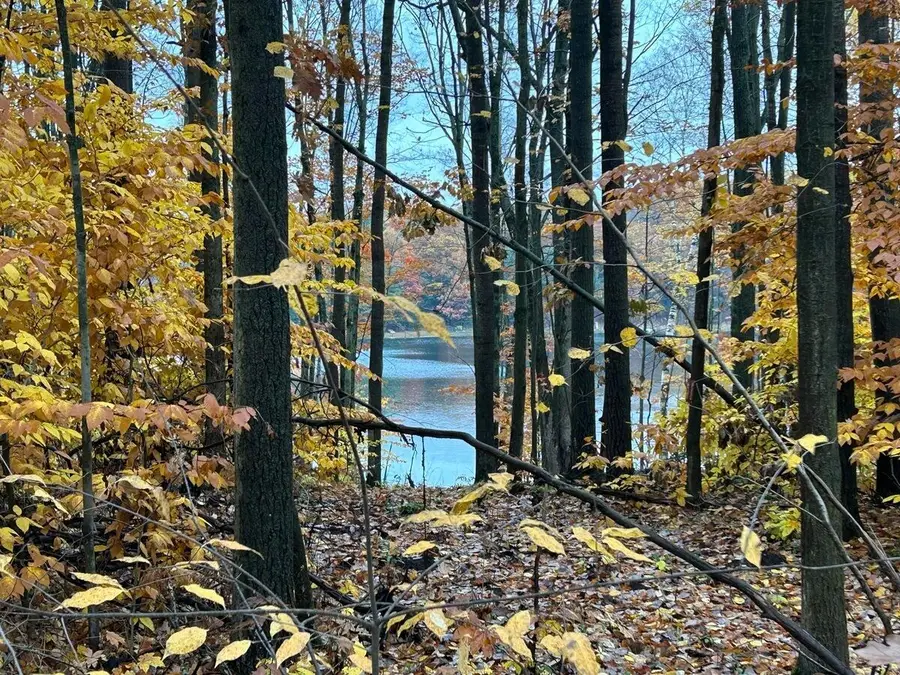 Alpine Dr. Drive, Reed City, MI 49677 - #2
