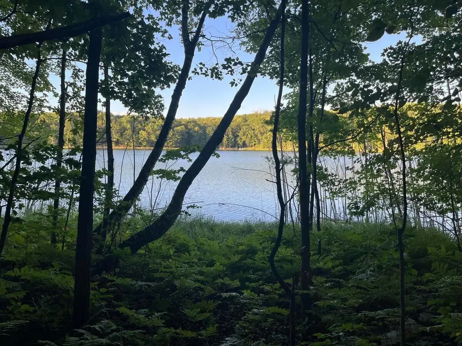 Alpine Dr. Drive, Reed City, MI 49677 - #3
