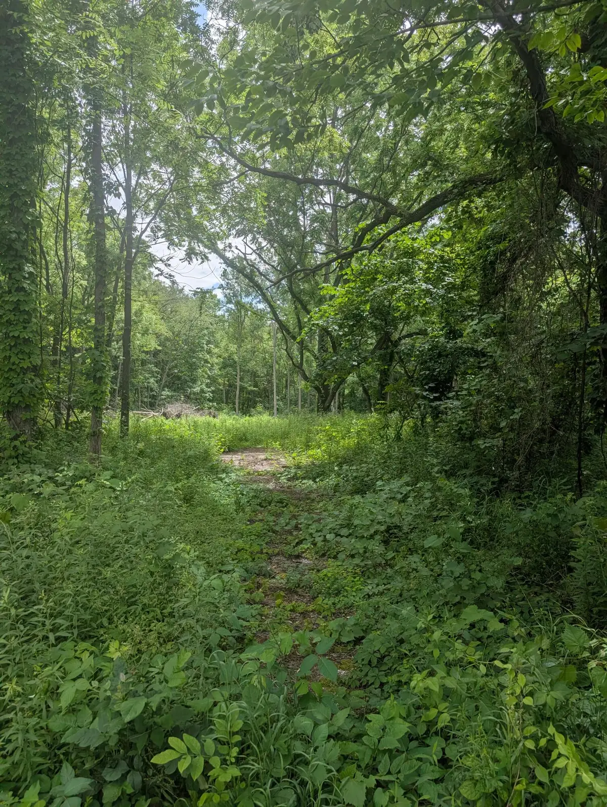 M-43, Bangor, MI 49013 - #1