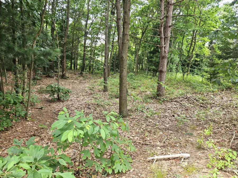 38050 78th Street, Covert, MI 49043 - #2