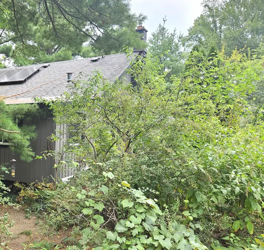 38050 78th Street, Covert, MI 49043 - #3
