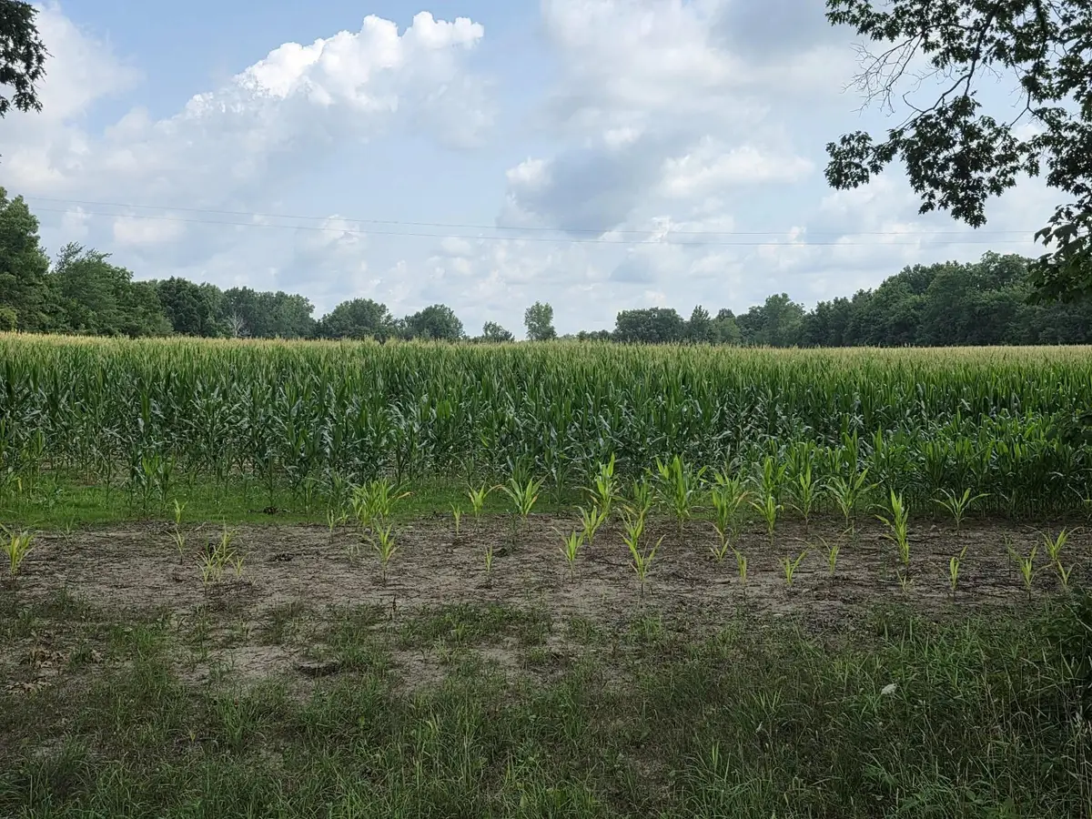Q Drive South (parcel 1), Burlington, MI 49029 - #1
