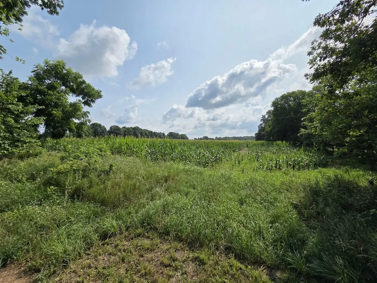 13 Mile Rd (parcel 5), Burlington, MI 49029 - #1