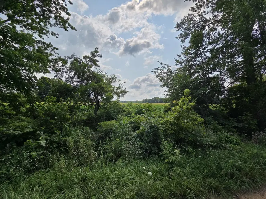13 Mile Rd (parcel 5), Burlington, MI 49029 - #3
