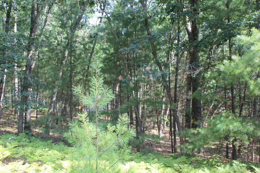 8212 W Goldenrod, Baldwin, MI 49304 - #2