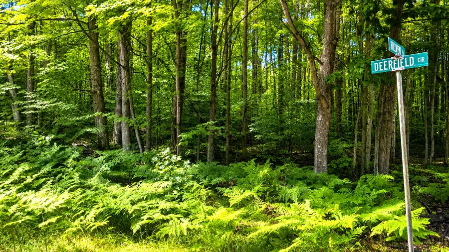 E Hillview Trail, Reed City, MI 49677 - #2