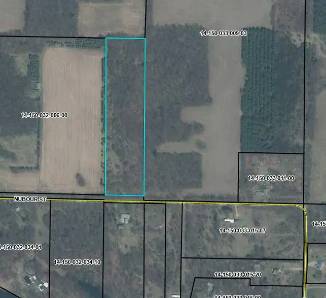 Nubour Street, Dowagiac, MI 49047 - #2