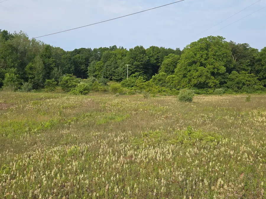 N 72nd Avenue, Hart, MI 49420 - #2