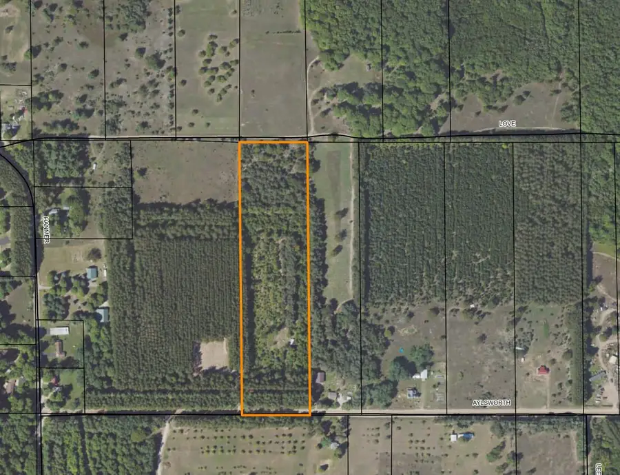 8732 Aylsworth Road, Benzonia, MI 49616 - #2