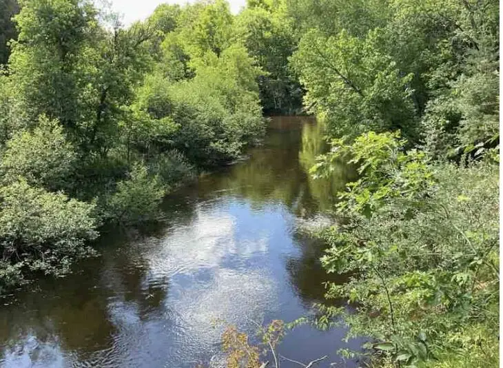 S Forward Road, Falmouth, MI 49632 - #1