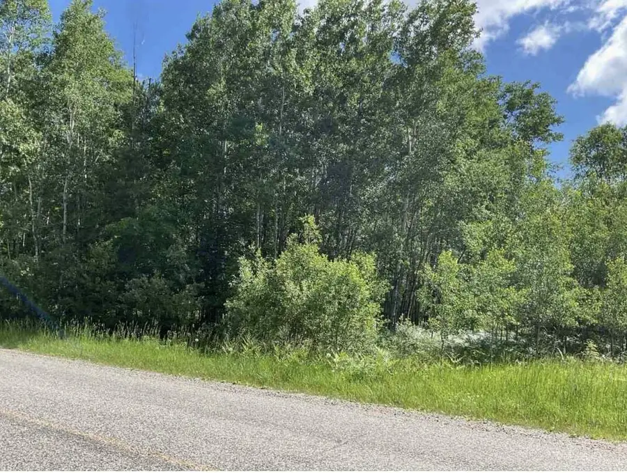 S Forward Road, Falmouth, MI 49632 - #2
