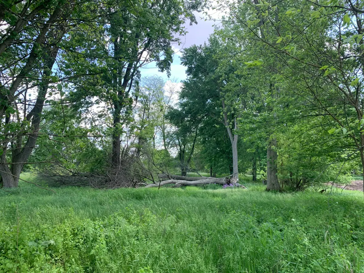 Brink Road, Bronson, MI 49028 - #1