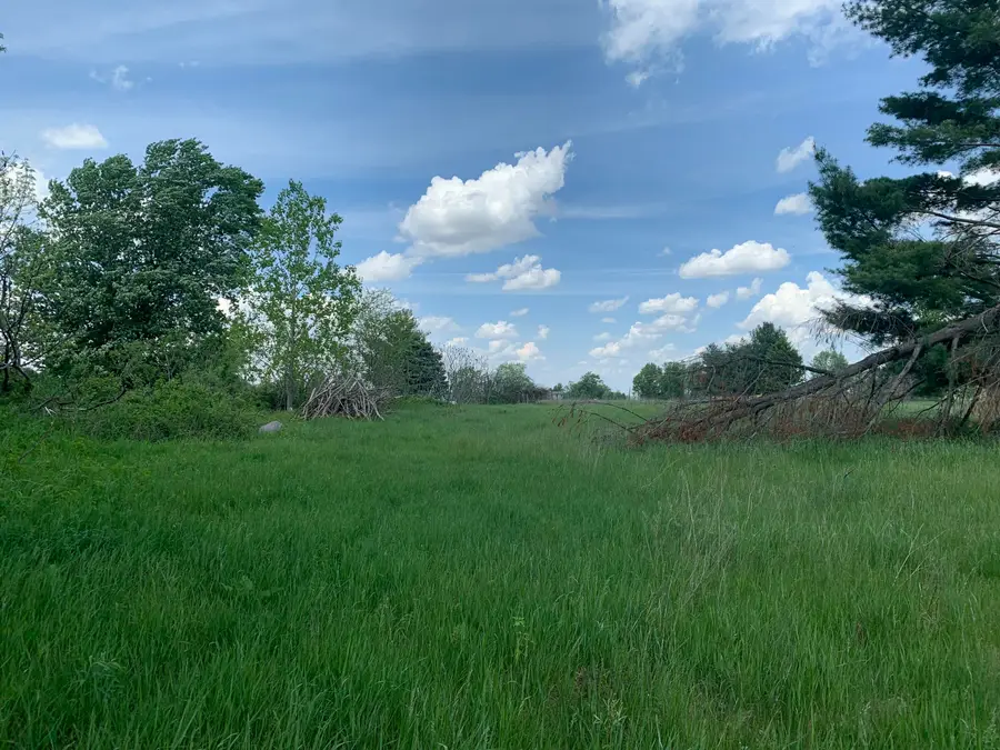 Brink Road, Bronson, MI 49028 - #3