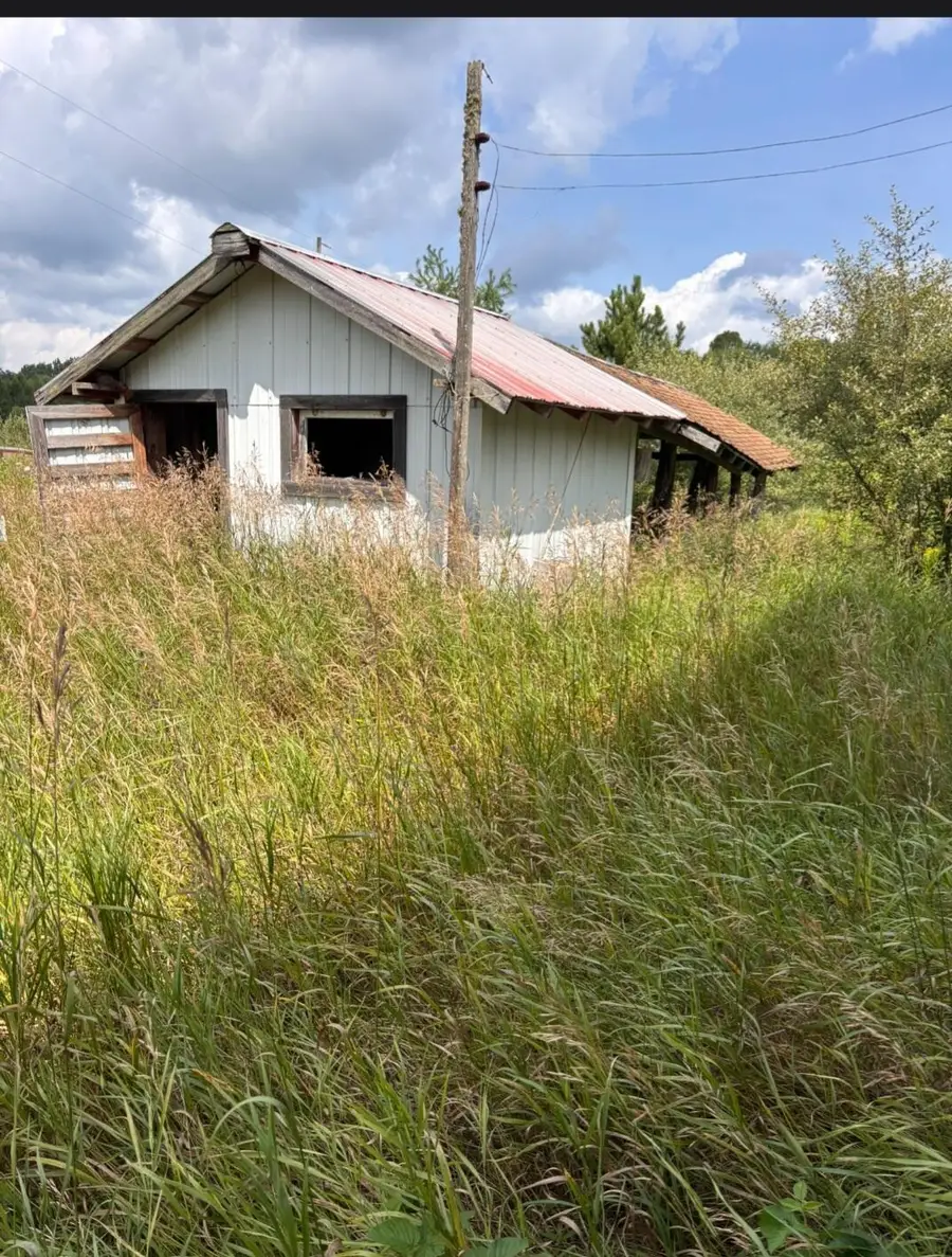 900 S Stout Road, Glennie, MI 48737 - #3