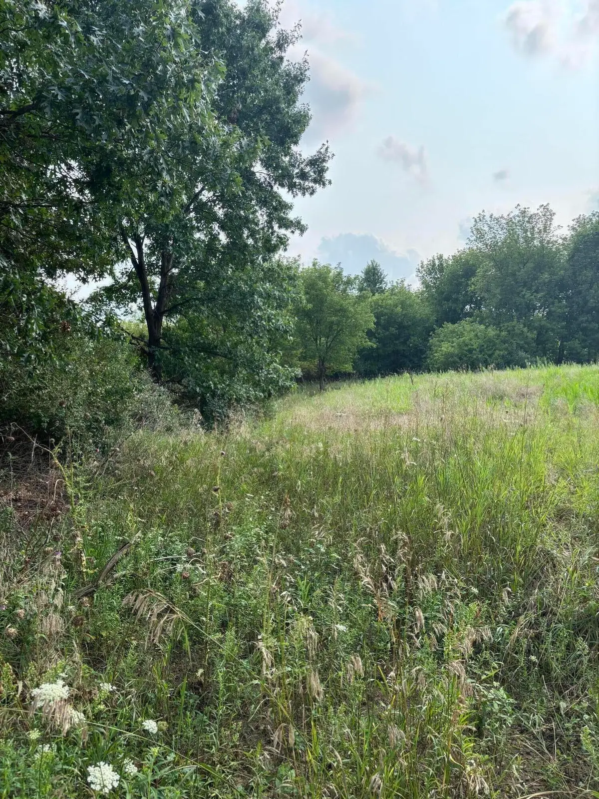 Norvell Road, Brooklyn, MI 49230 - #1