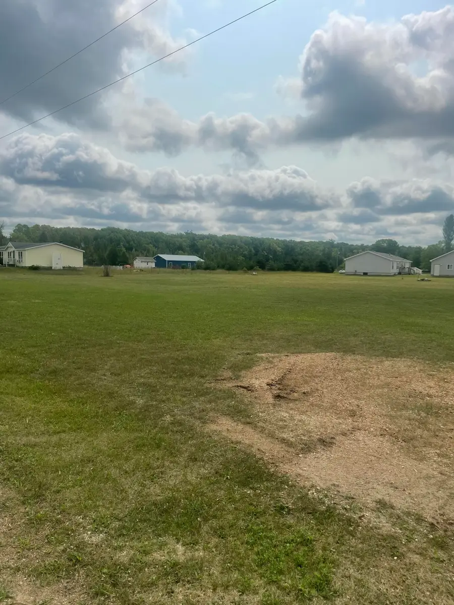 Lot #84-85 W Rimkus Drive, Irons, MI 49644 - #2