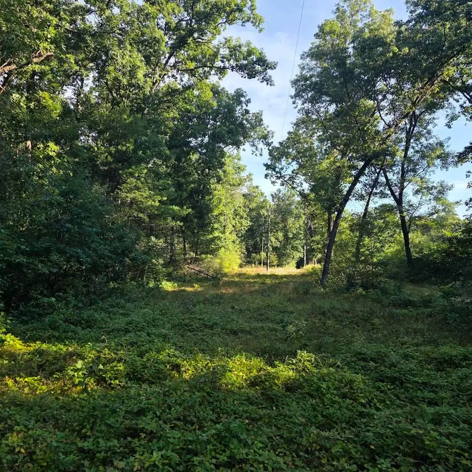 S Outaway Drive, Newaygo, MI 49337 - #1