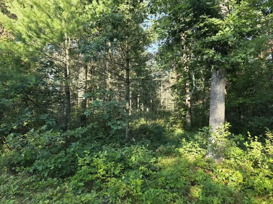 S Outaway Drive, Newaygo, MI 49337 - #3