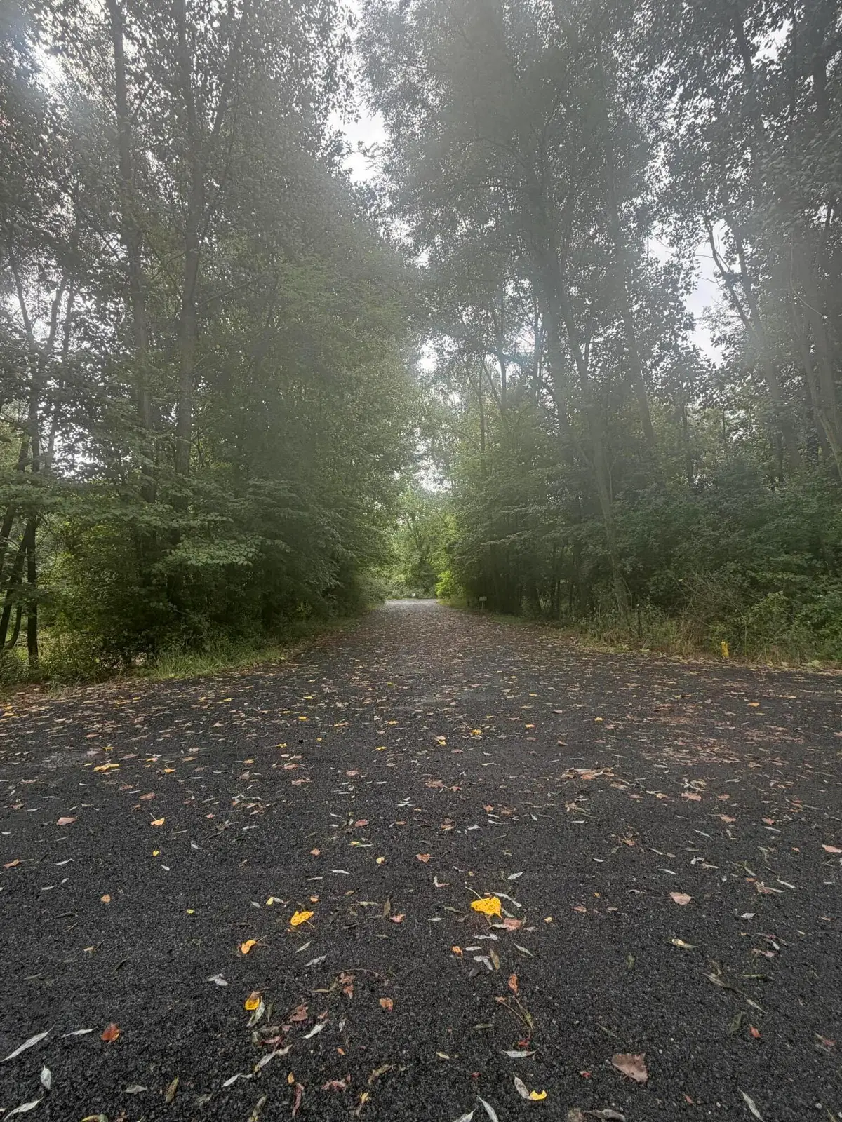 Heather Ridge Road #lot 6 Phase 2, Marshall, MI 49068 - #1