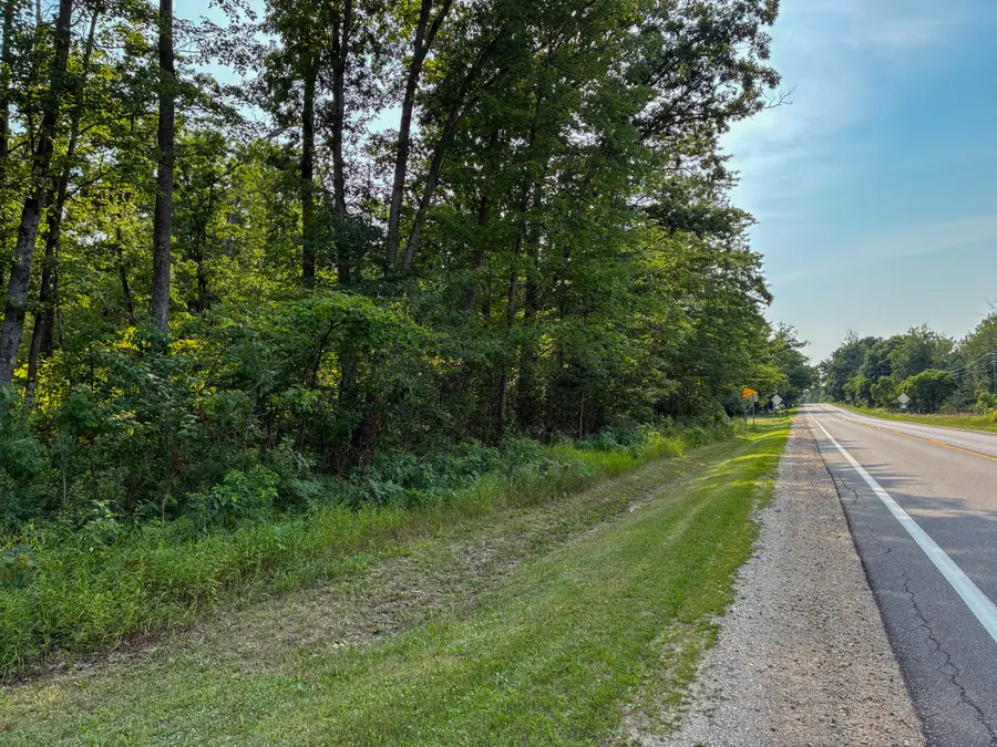 V/L E Jackson Street, White Cloud, MI 49349 - #2