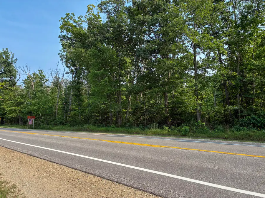 V/L E Jackson Street, White Cloud, MI 49349 - #3