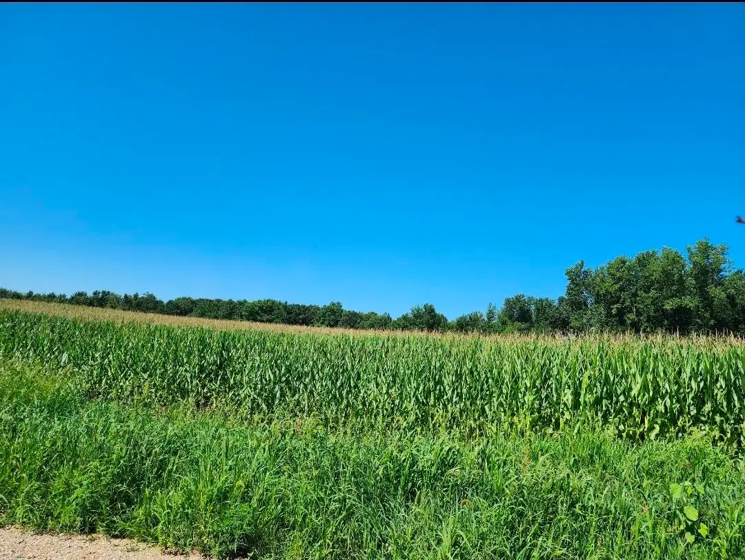 Root V/l Road, Constantine, MI 49042 - #1