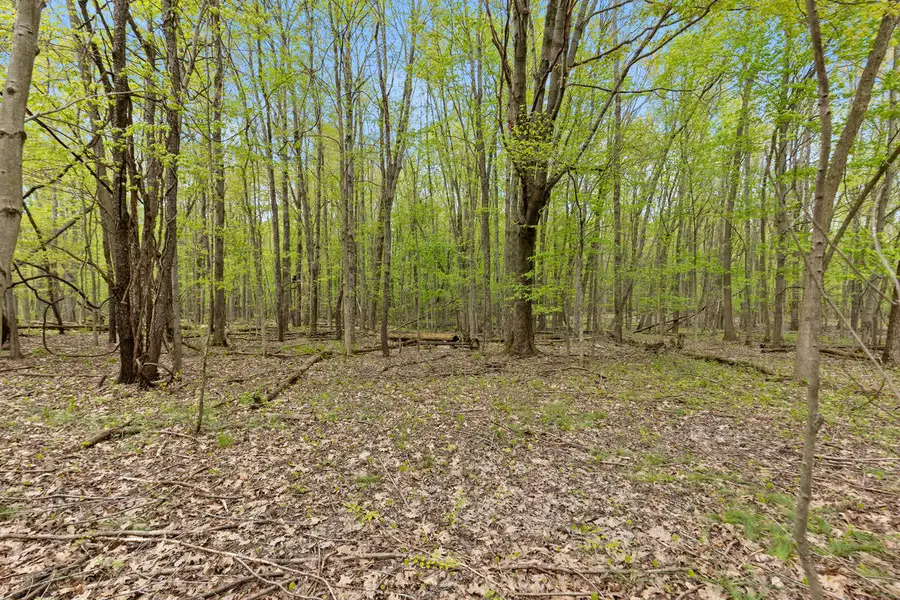 00 6th Avenue, Bloomingdale, MI 49026 - #3