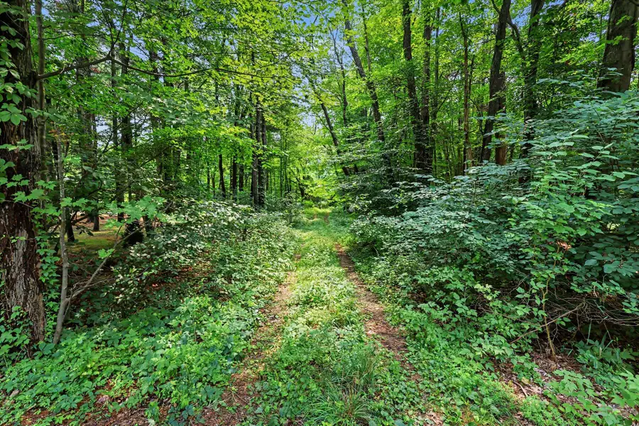 VL Blair Street, West Olive, MI 49460 - #2