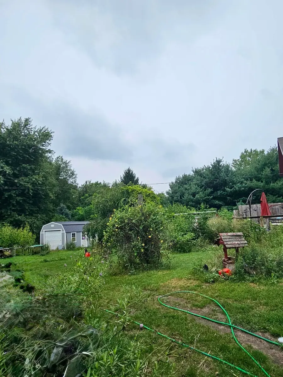 2800 N Edon Road, Allen, MI 49227 - #2