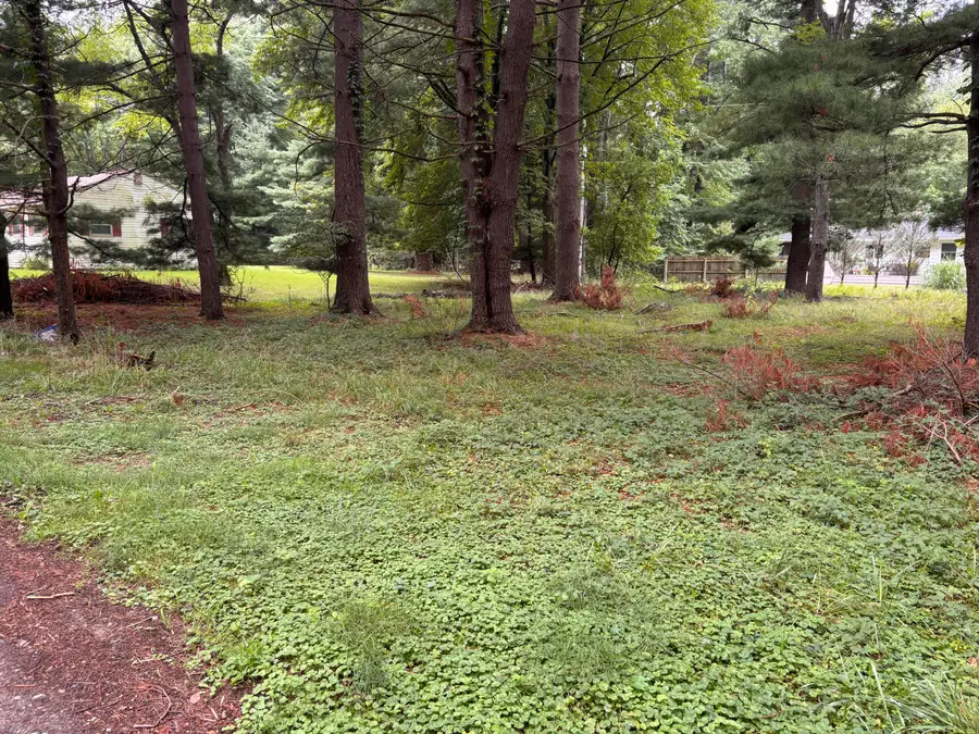 V/l Spruce Street, Sawyer, MI 49125 - #3