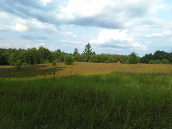 V/L 00 N Lakola Road, Leroy, MI 49655