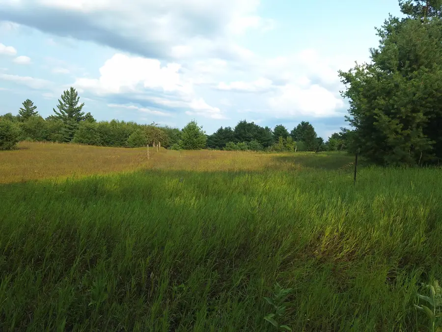 V/L 00 N Lakola Road, Leroy, MI 49655 - #2