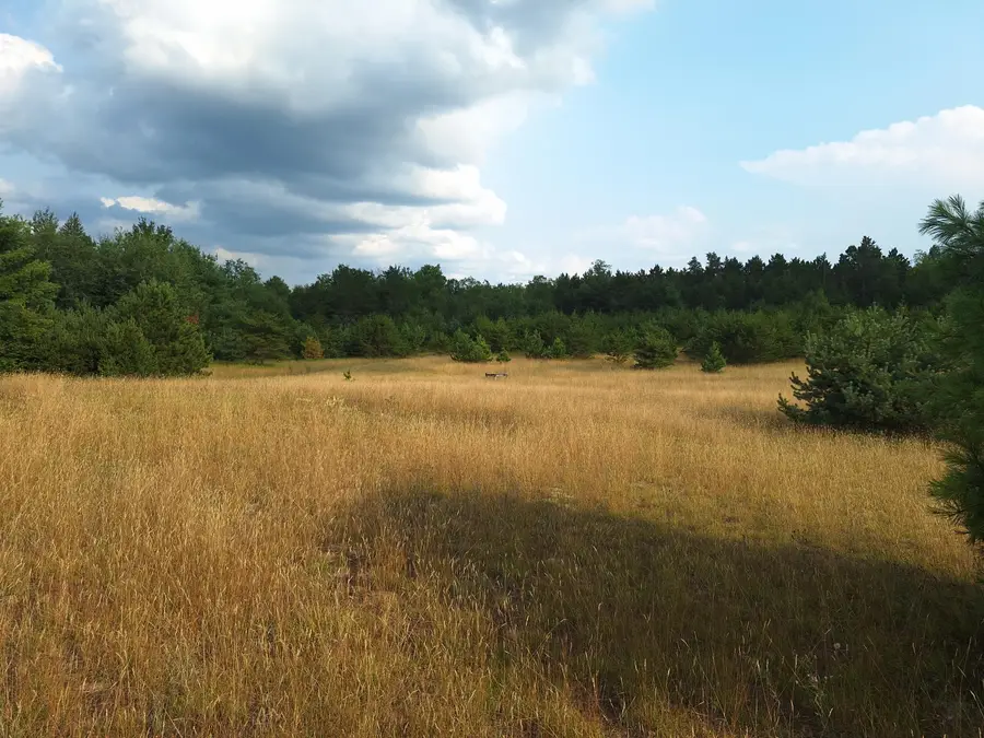 V/L 00 N Lakola Road, Leroy, MI 49655 - #3