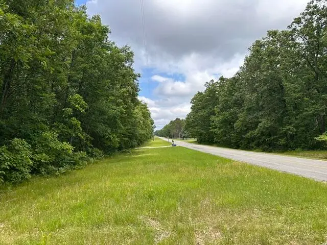 10063 N Irons Road, Irons, MI 49644 - #2