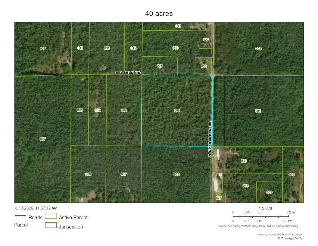 2111 N Evergreen Drive, White Cloud, MI 49349 - #1