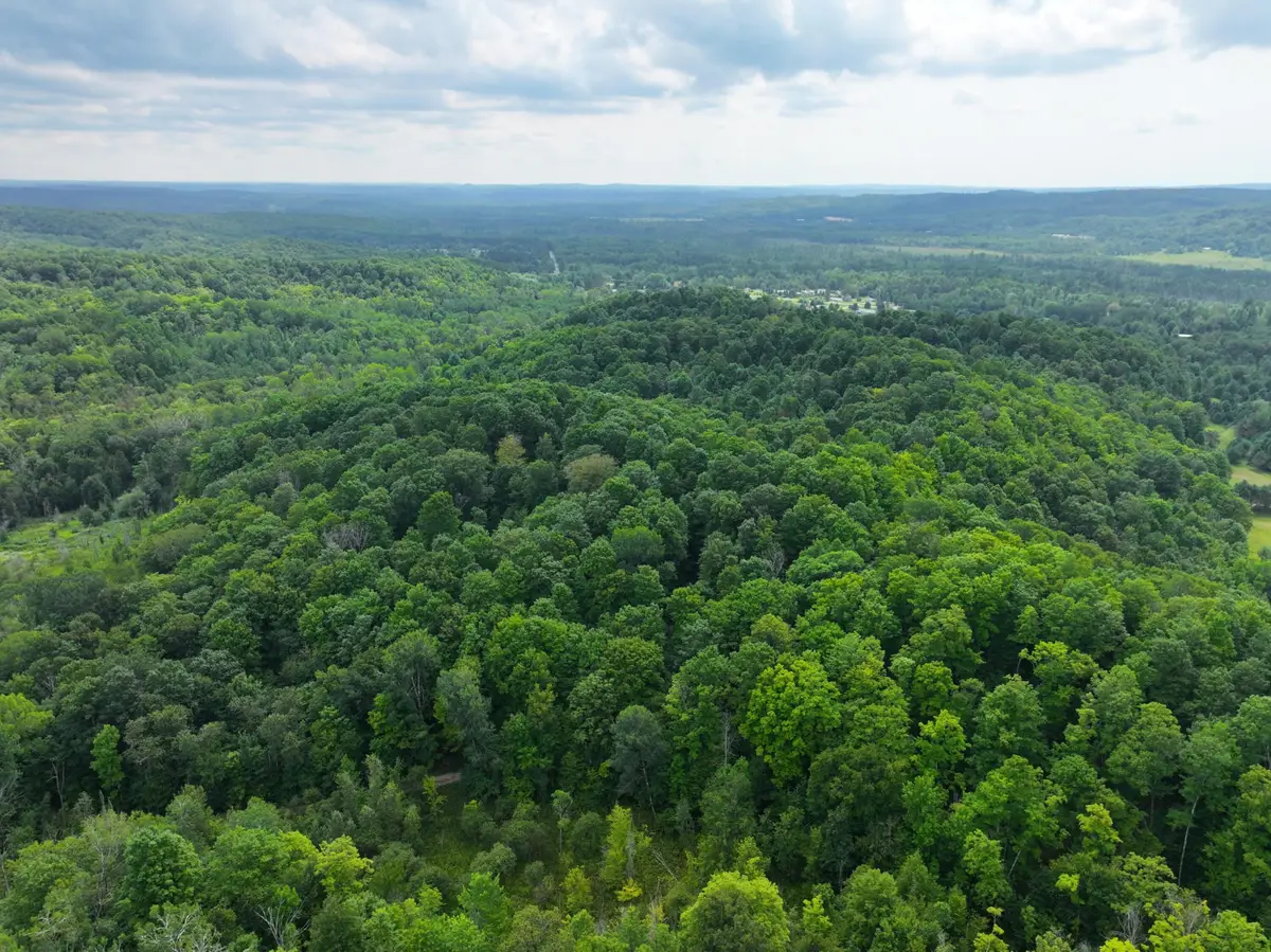 V/L 40A Lambdin Road, East Jordan, MI 49727 - #1