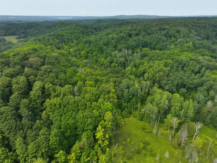 V/L 40A Lambdin Road, East Jordan, MI 49727 - #3