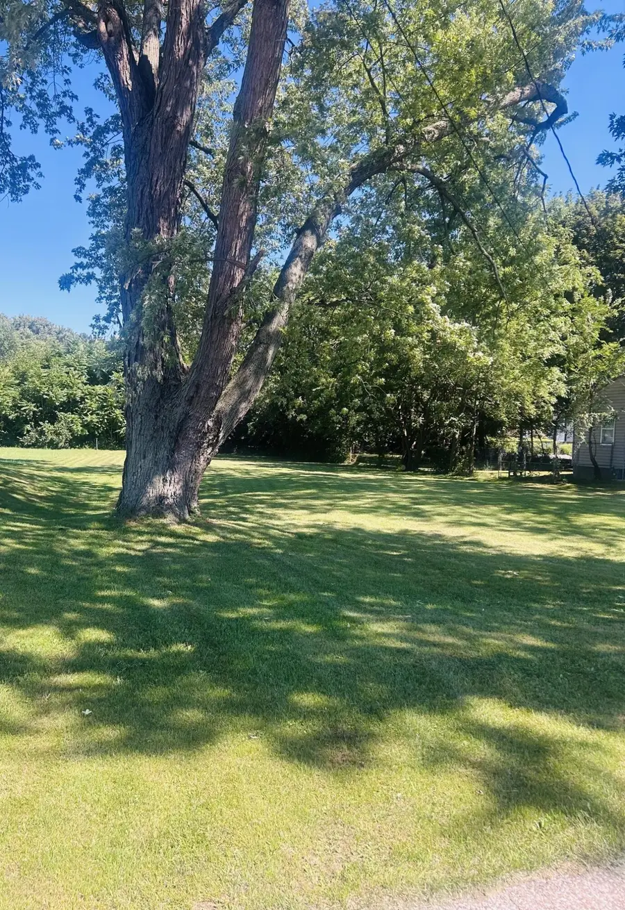 261 S West Street, Coloma, MI 49038 - #3