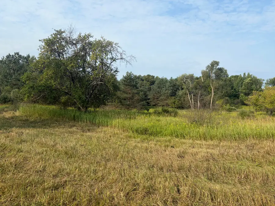 23169 1 Mile Road, Reed City, MI 49677 - #2