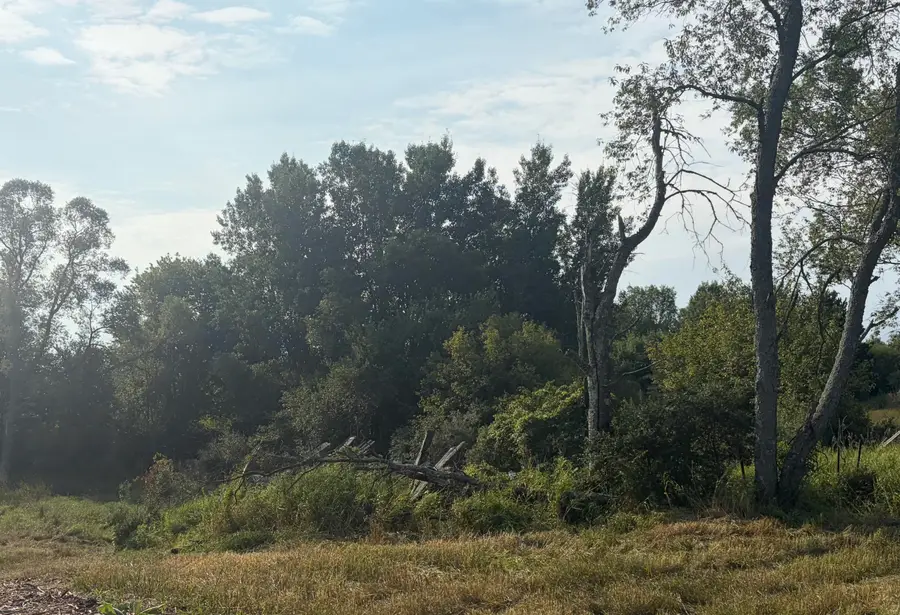 23169 1 Mile Road, Reed City, MI 49677 - #3